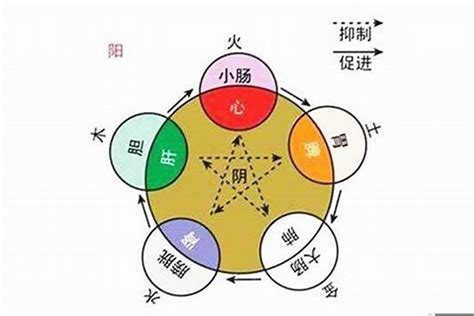 保險業五行|保險業五行屬性知多少